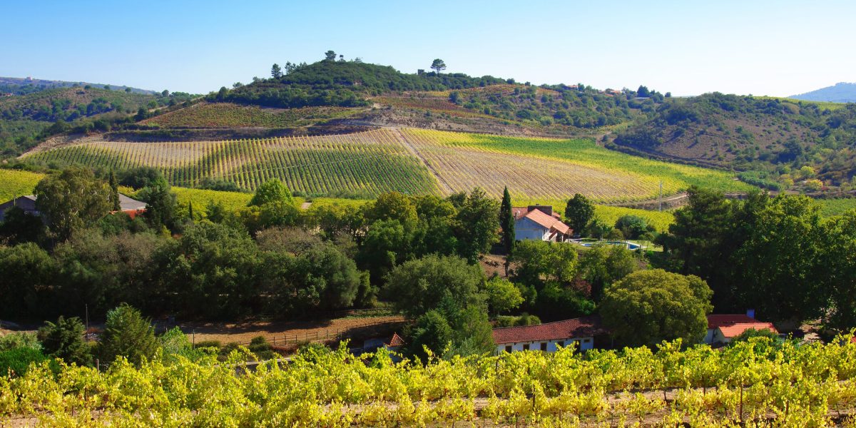 Legea care le permite României să confişte terenuri private, UE avertizează