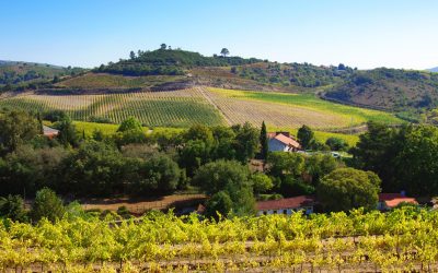 Legea care le permite României să confişte terenuri private, UE avertizează