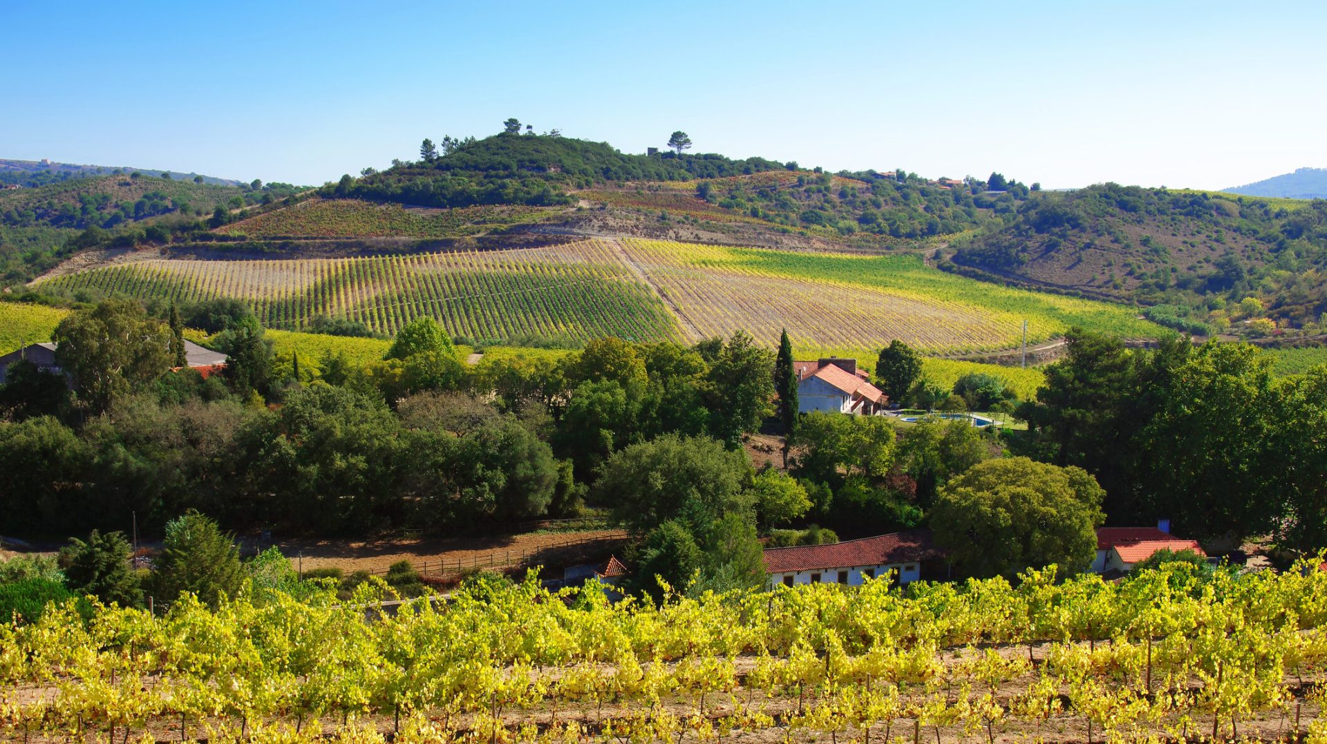 ONG-urile din România cer intervenția UE în privința legii privind exproprierile miniere Un număr de 60 de organizații neguvernamentale din România au transmis oficial, marți, 7 aprilie 2026, o scrisoare către președintele Comisiei Europene, URSULA VON DER LEYEN, și către Viviane d’Udekem d’Acoz, Secretar General Adjunct al instituției, solicitând intervenția Uniunii Europene în legătură cu legea recent adoptată privind exproprierile pentru proiecte miniere