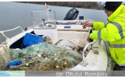 Garda Națională de Mediu a intensificat controalele pentru combaterea pescuitului ilegal În ultimele două săptămâni, Garda Națională de Mediu a desfășurat o serie de controale ample în tot țara, concentrându-se pe activități de prevenire a pescuitului ilegal și protejarea resurselor naturale