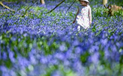 Prognoza meteo: Vreme bună în România, dar cu ploi, în următoarele 4 săptămâni