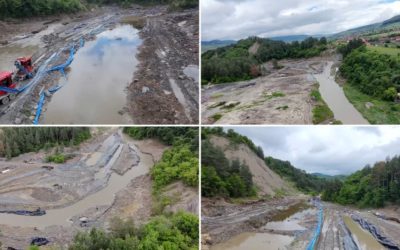 Castorii, țapi ispășitori la Salina Praid Interviu dur cu ministrul