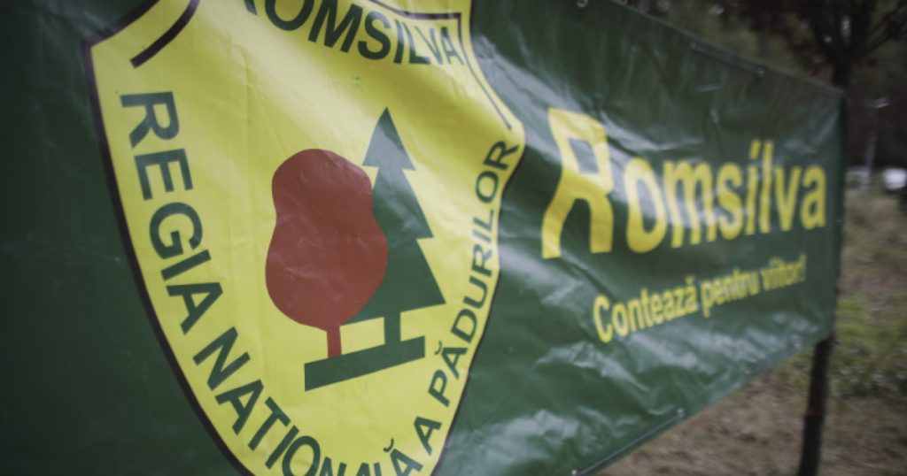 Sindicat Romsilva atacă în instanță reorganizarea regiei pădurilor
