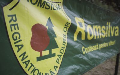 Sindicat Romsilva atacă în instanță reorganizarea regiei pădurilor