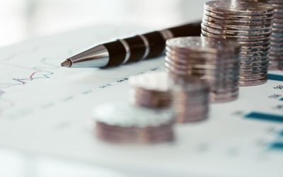 Criză politică: Păun avertizează că România riscă haosul economic
