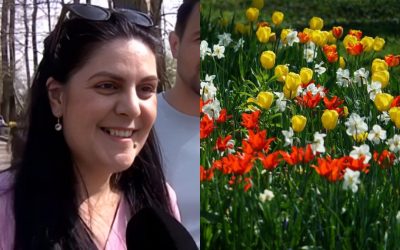 Simfonia Lalelelor, ediția 49, înfloritoare la Pitești: „Flori minunate, am venit pentru ele”