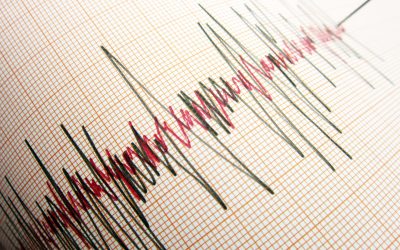 Două cutremure au zguduit România azi: Unde au fost simțite mișcările seismice?