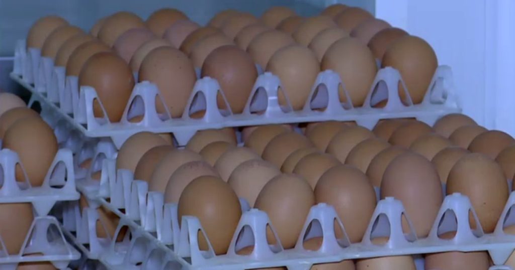 Ouă cu Salmonella retrase: pericol pentru români în prag de Sărbători!