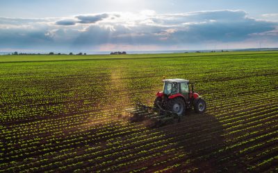 Primăria din Buzău, acuzată: Adeverințele APIA, condiționate de plata impozitelor