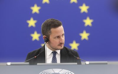 Ștefănuță felicită maghiarii: Din Ungaria și Transilvania, decizie istorică