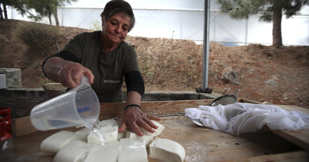 Brânza Halloumi, în criză: fermierii ciprioți, loviți crunt. Soluția, la turci