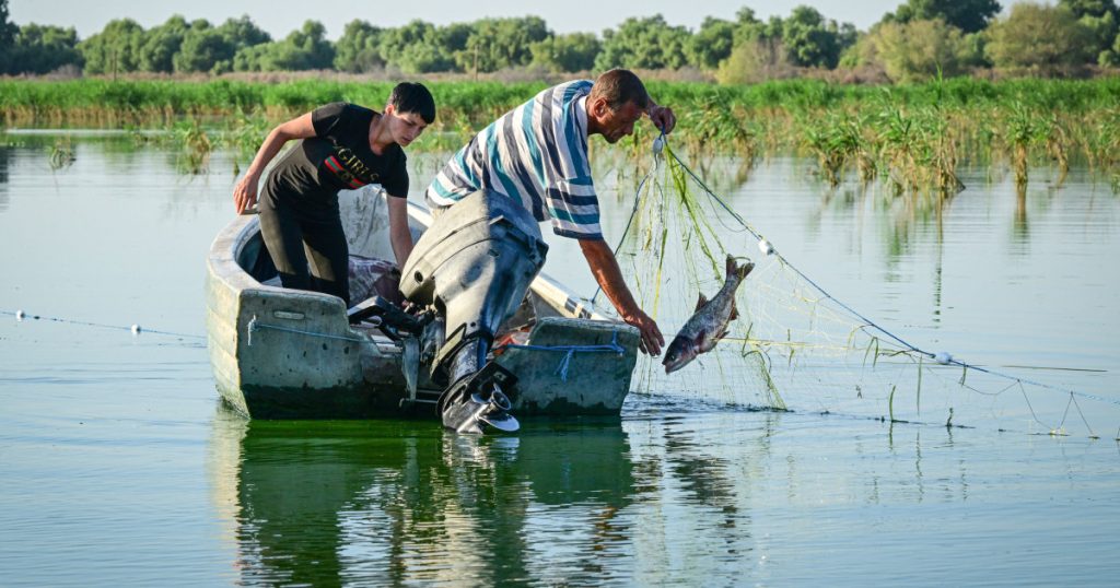 Pescarii tulceni au majorat prețurile pentru capturi, din cauza creșterii costurilor cu carburanții Pescarii din Tulcea au decis să crească prețurile pentru capturile livrate către punctele de debarcare și centrele de primă vânzare