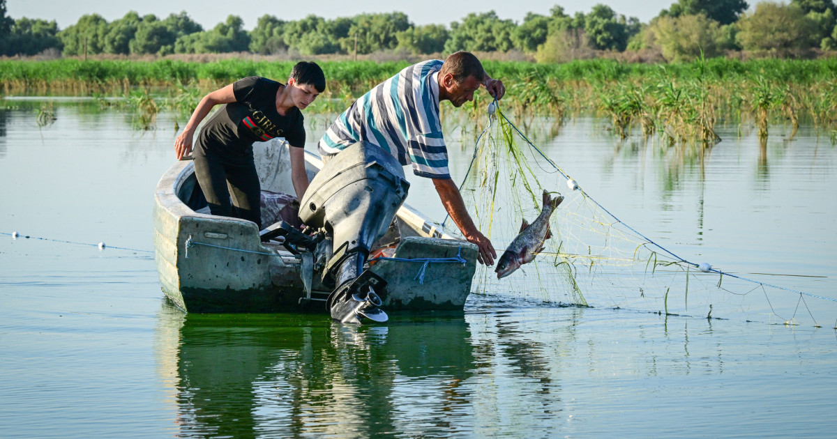 Pescarii tulceni au majorat prețurile pentru capturi, din cauza creșterii costurilor cu carburanții Pescarii din Tulcea au decis să crească prețurile pentru capturile livrate către punctele de debarcare și centrele de primă vânzare