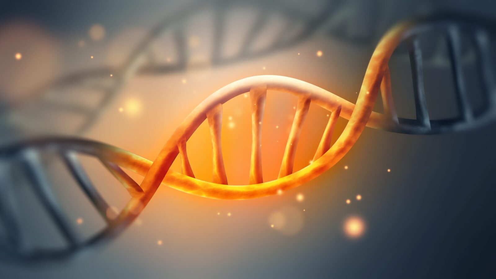 Unde s-ar ascunde secretele codului genetic