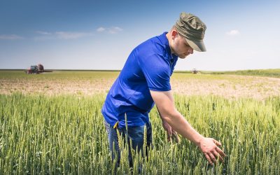 Criza îngrășămintelor, explozie la Bruxelles: Fermierii cer ajutor URGENT!