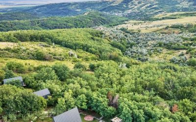 Arta Chalet: Cum a prins viață refugiul de lux din Dealu Mare, România