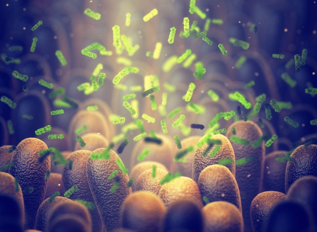 Bacterie-Ucigaș: Cercetătorii au creat arma secretă împotriva tumorilor