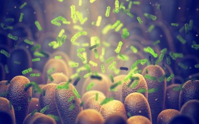 Bacterie-Ucigaș: Cercetătorii au creat arma secretă împotriva tumorilor