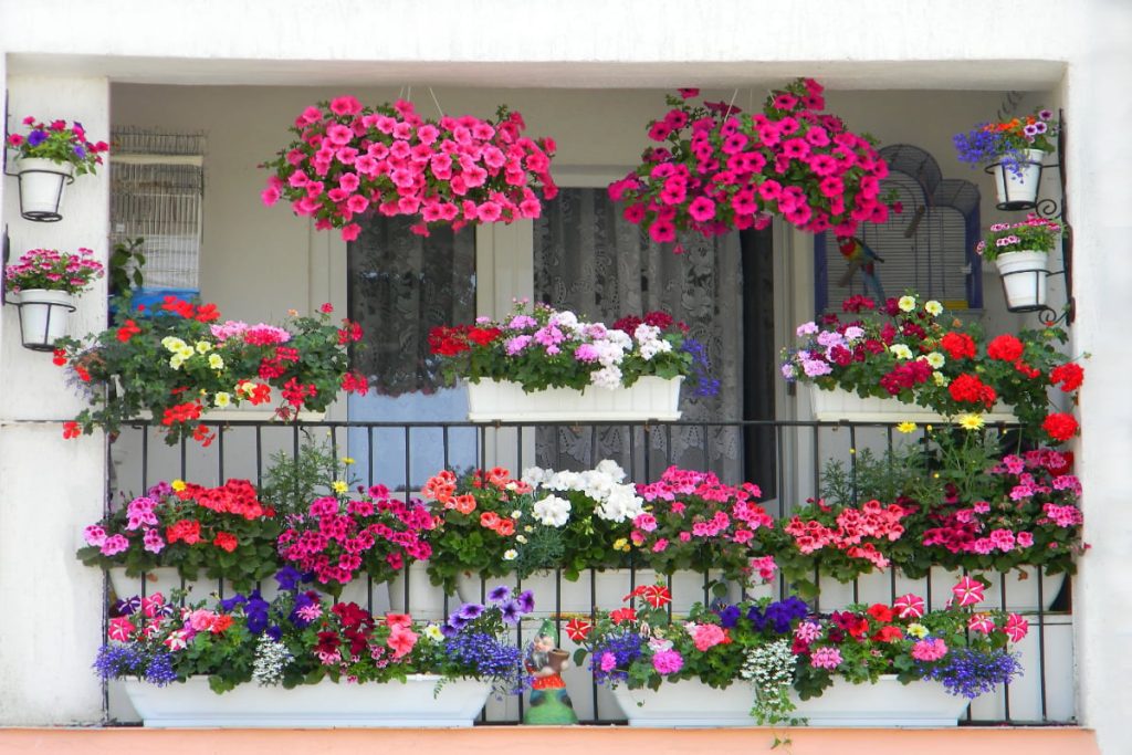 7 trucuri pentru un balcon plin de flori: Transformă-l într-o oază de vară