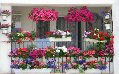 7 trucuri pentru un balcon plin de flori: Transformă-l într-o oază de vară