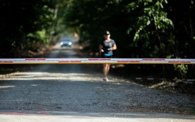 Romsilva închide drumul ilegal din Pădurea Băneasa: Blocajul pentru bucureșteni