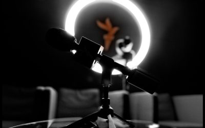 Arhivă EROL: 52.341 de motive să citești ce „supraviețuiește“ după Europa Liberă România!