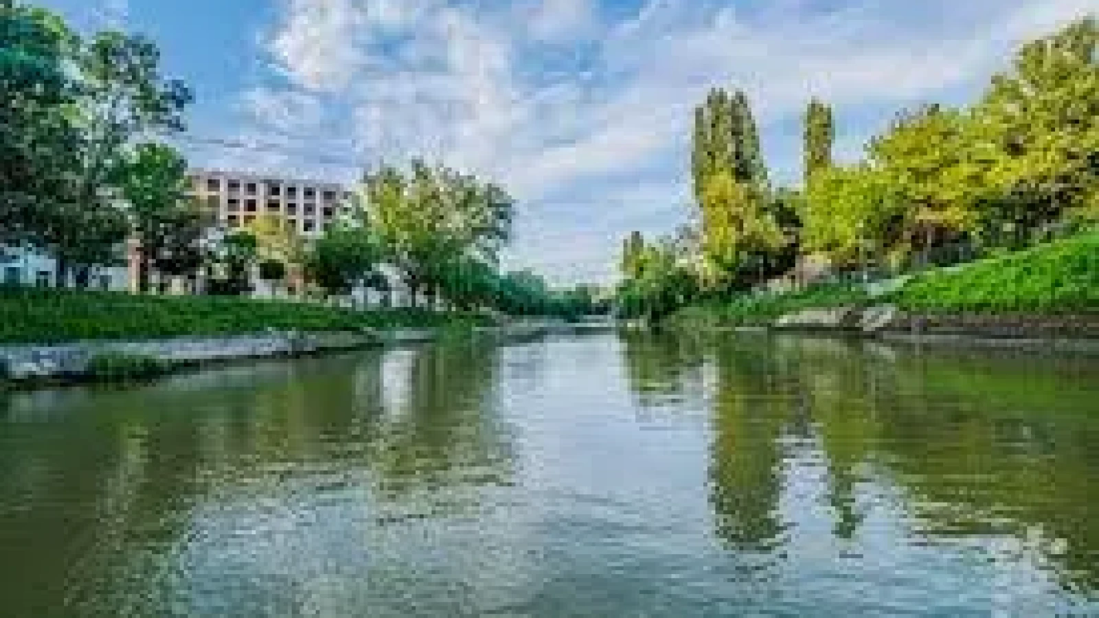 Arta și natura se întâlnesc pe Bega: un proiect inedit de cercetare