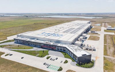 Arctic și Beko, record de afaceri în România: 4 mld lei și profit!