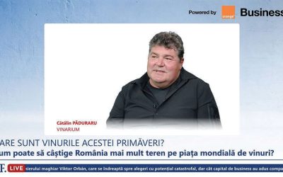 Vinarium: Cătălin Păduraru vede Autostrada A7 ca pe un motor al turismului viticol din România