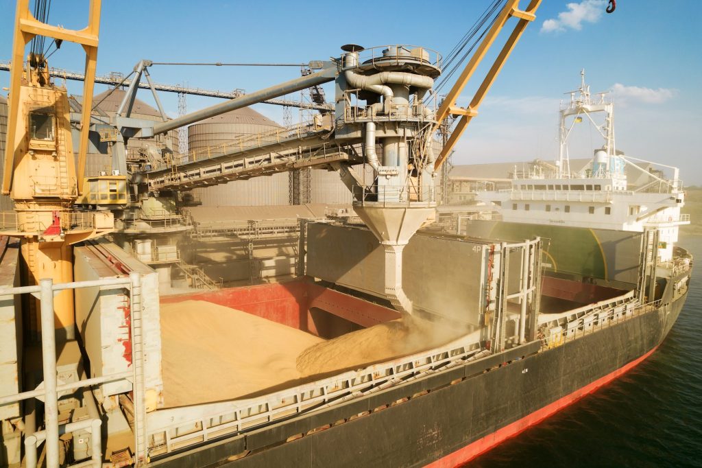 Cât au câștigat fermierii din exporturile de cereale Anul trecut, creșteri minime