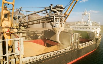 Cât au câștigat fermierii din exporturile de cereale Anul trecut, creșteri minime