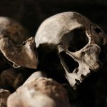 Catacombele Parisului, redeschise! Pericol uriaș: oasele, atacate de microbi