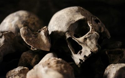 Catacombele din PARIS și-au redeschis porțile pentru vizitatori, după o perioadă de aproximativ șase luni de închidere
