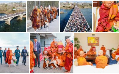 CĂLUGĂRI BUZDIȘTI și cățelul viral, într-un Marș pentru Pace în SRI Lanka