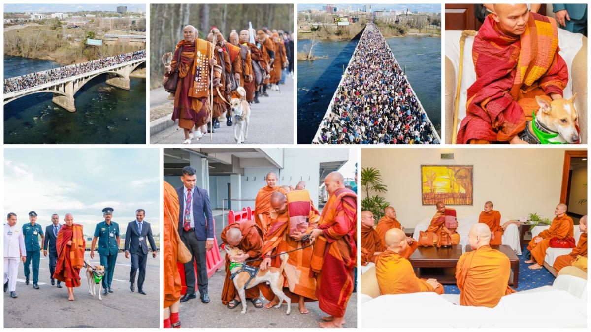 CĂLUGĂRI BUZDIȘTI și cățelul viral, într-un Marș pentru Pace în SRI Lanka