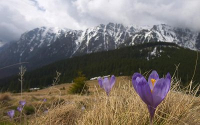 Ger năprasnic peste România de Paște: Vine iarna în aprilie