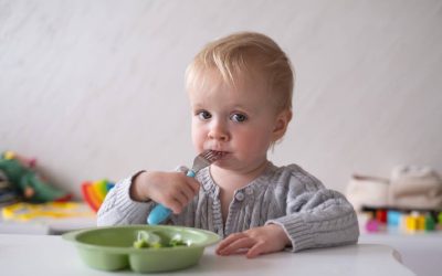 Un nou punct de vedere în alimentația copiilor la cină a fost adus în discuție de specialiști, susținând că eliminarea presiunii sociale și a rușinii legate de mâncare facilitează o digestie mai bună și susține sistemul nervos