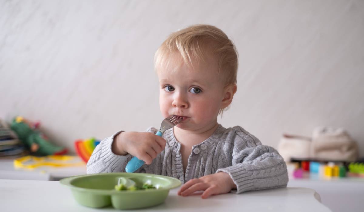 Un nou punct de vedere în alimentația copiilor la cină a fost adus în discuție de specialiști, susținând că eliminarea presiunii sociale și a rușinii legate de mâncare facilitează o digestie mai bună și susține sistemul nervos