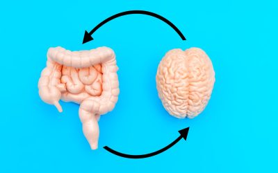 Mâncarea din copilărie îți schimbă creierul pe viață, arată un studiu