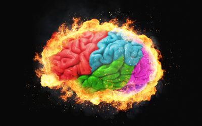 Mitul conform căruia lobul frontal al creierului nu se dezvoltă complet până la vârsta de 25 de ani a fost mult timp prevalențat în discursul popular, fiind considerat un adevăr științific indiscutabil