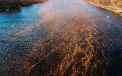 Bombardament Rusesc în Ucraina: Apa Moldovei, contaminată. Criză ca la Cernobîl