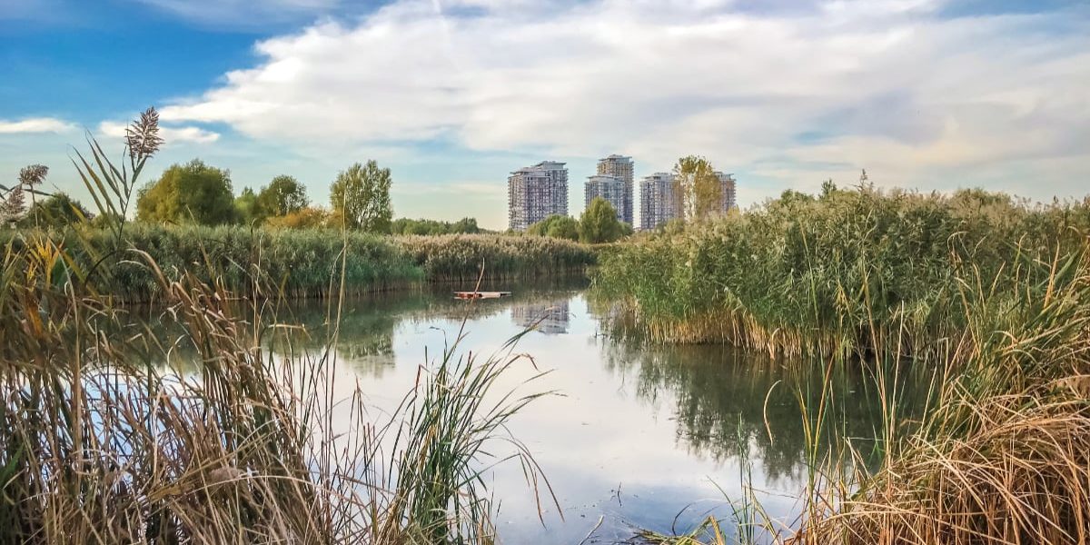 De la eșecul comunist la model global: România, lăudată de Bloomberg