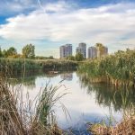 De la eșecul comunist la model global: România, lăudată de Bloomberg