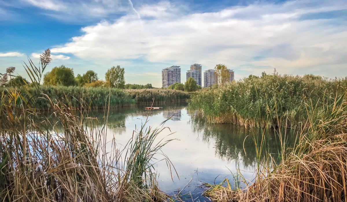 Un proiect urban eșuat din vremea comunismului a renăscut, după 1989, ca o oază de biodiversitate în inima Capitalei