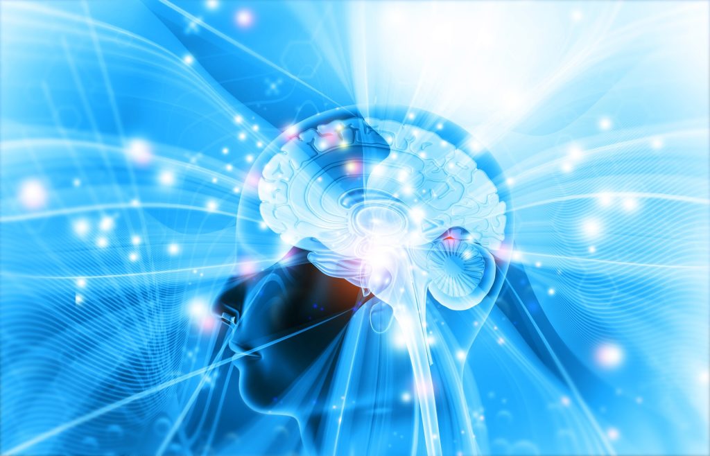 Descoperiri din neuroștiință în 2025: creierul, într-un proces continuu de reconfigurare Anul 2025 a adus mai multe descoperiri care schimbă modul în care înțelegem funcționarea creierului uman