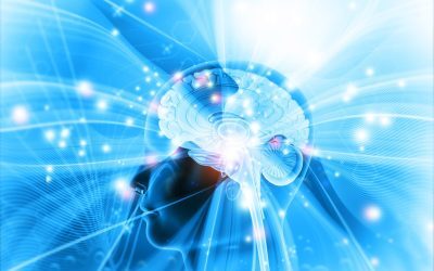 Descoperiri din neuroștiință în 2025: creierul, într-un proces continuu de reconfigurare Anul 2025 a adus mai multe descoperiri care schimbă modul în care înțelegem funcționarea creierului uman