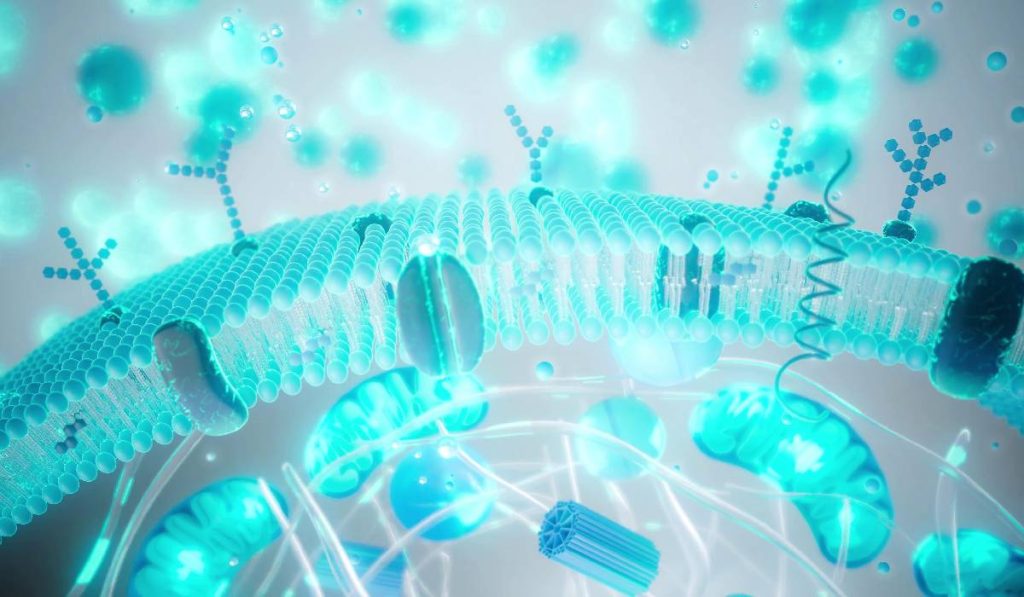 Balonare și reflux după Paște? Cum te refaci rapid, simplu