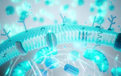 Balonare și reflux după Paște? Cum te refaci rapid, simplu