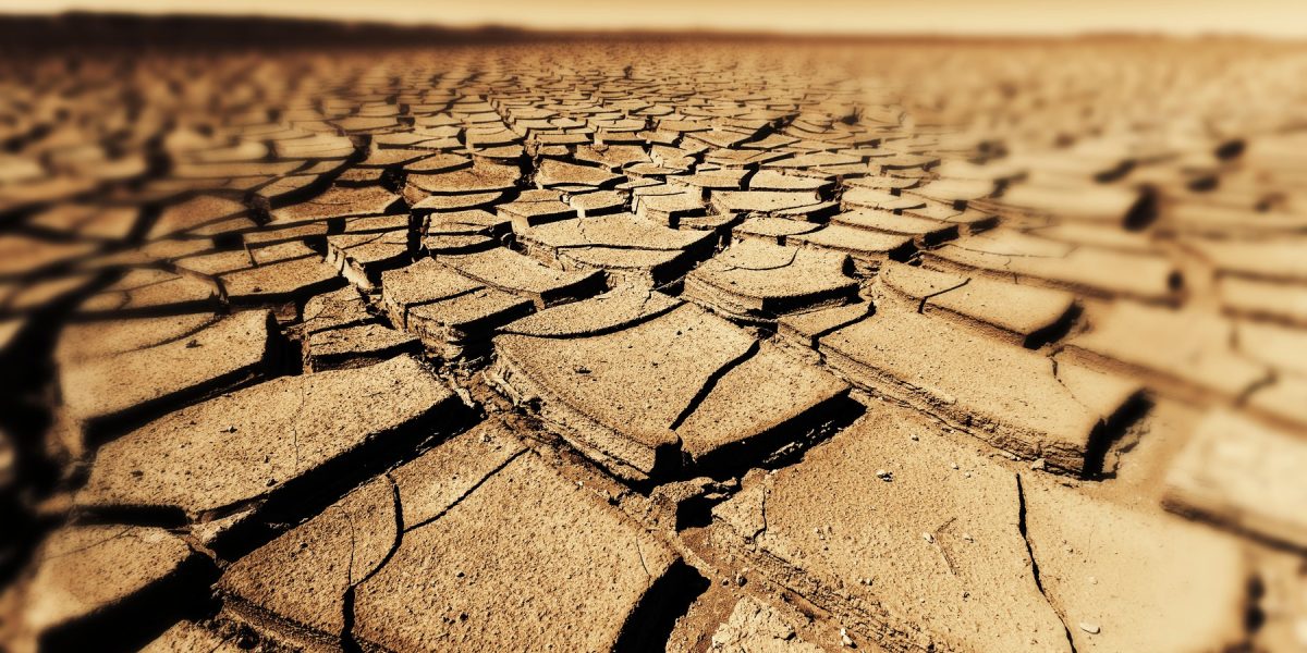 Seceta accelerează răspândirea bacteriilor rezistente la antibiotice, avertizează studiile