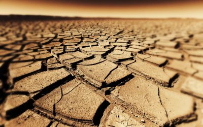 Seceta accelerează răspândirea bacteriilor rezistente la antibiotice, avertizează studiile